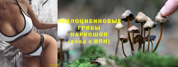 дурь Абдулино
