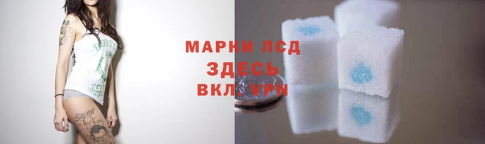 ГАЛЛЮЦИНОГЕННЫЕ ГРИБЫ Абинск