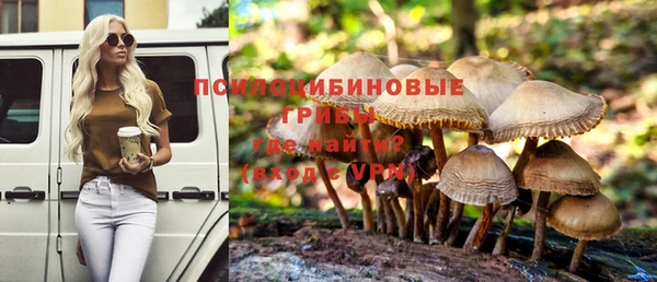 дурь Абдулино