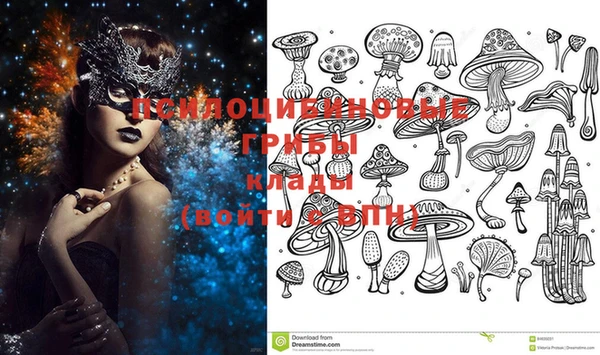 ГАЛЛЮЦИНОГЕННЫЕ ГРИБЫ Абинск