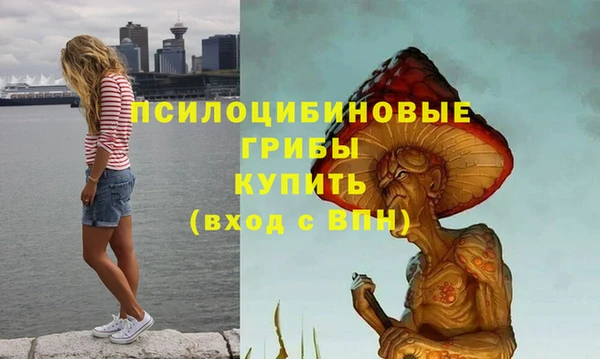 дурь Абдулино