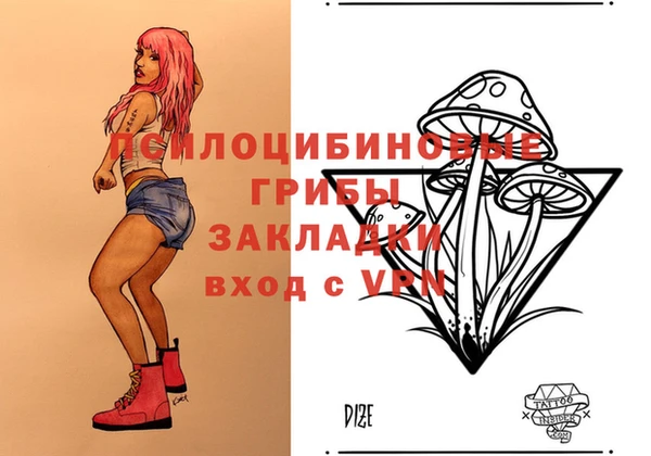 ГАЛЛЮЦИНОГЕННЫЕ ГРИБЫ Абинск
