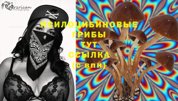 дурь Абдулино