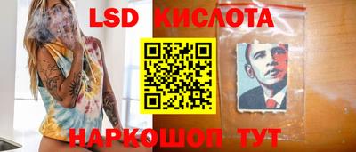 стаф Краснодар