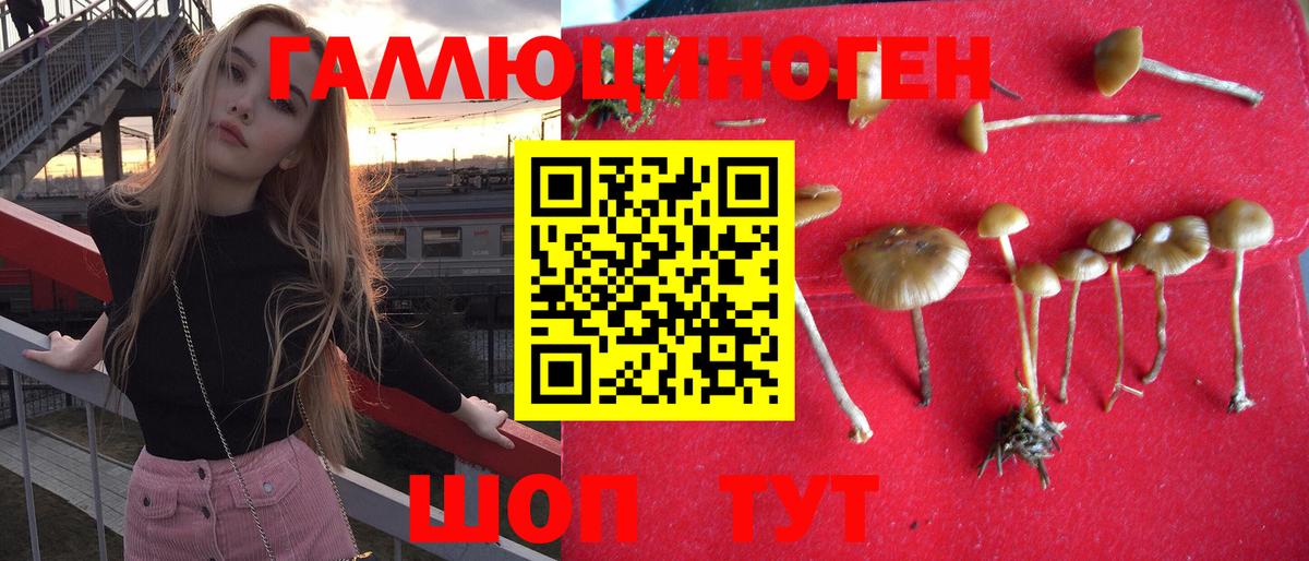 Галлюциногенные грибы мухоморы Кохма