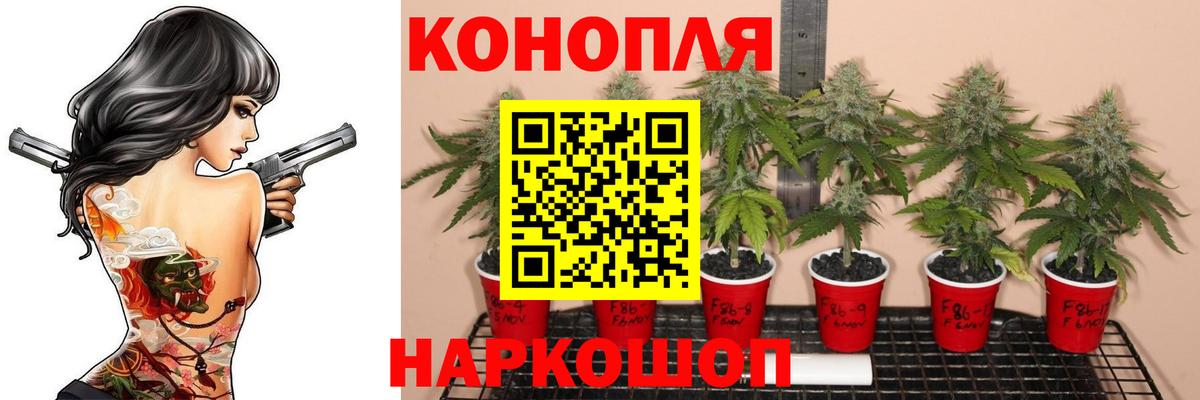 Кохма  Бошки Шишки THC 21%  Вход с VPN  Каннабис марихуана 